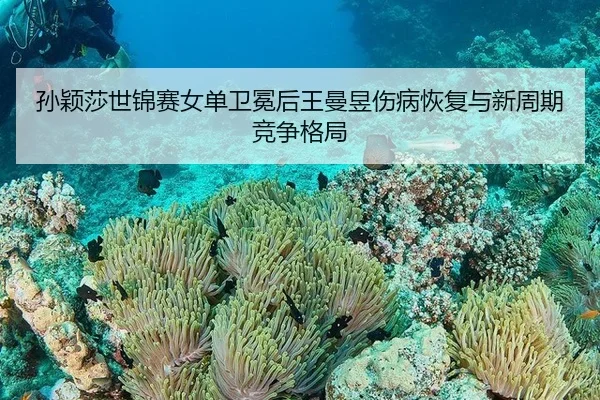 孙颖莎世锦赛女单卫冕后王曼昱伤病恢复与新周期竞争格局